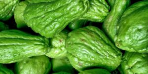 The Basics of a Balanced Diet