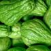 The Basics of a Balanced Diet