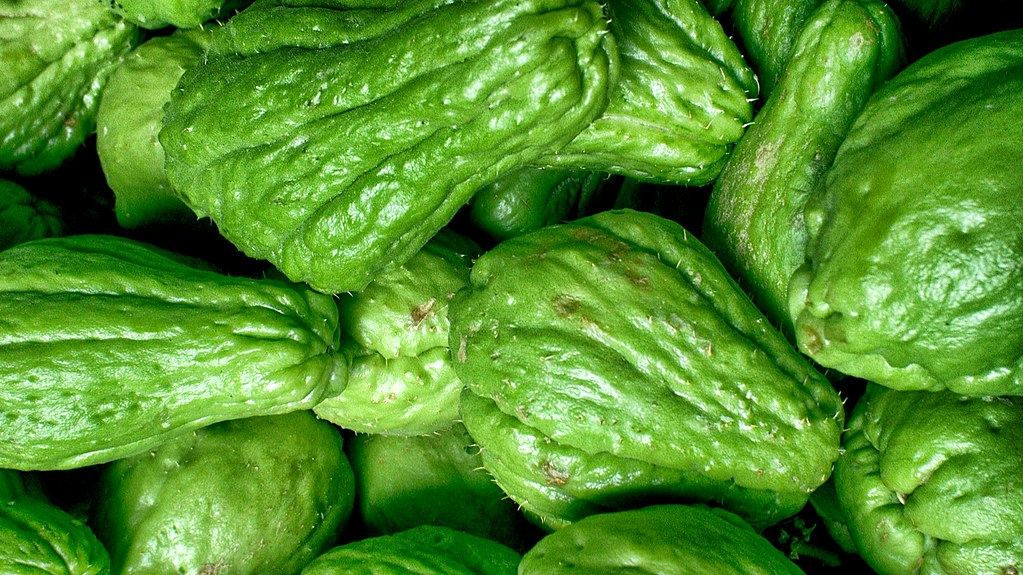 The Basics of a Balanced Diet